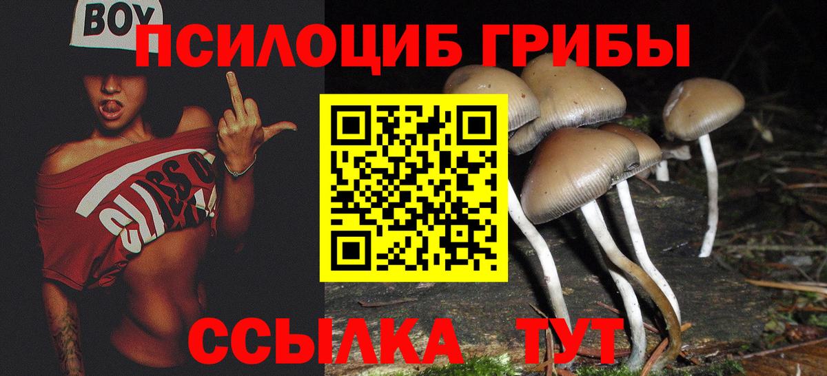 Галлюциногенные грибы MAGIC MUSHROOMS  Вход с VPN  Гай  Псилоцибиновые грибы ЛСД 