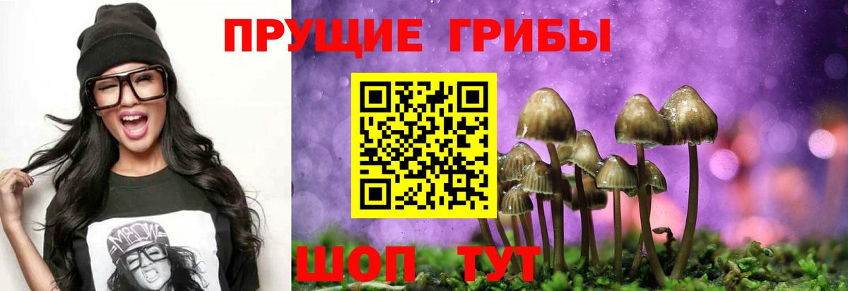 Галлюциногенные грибы мухоморы Гай